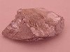 Duranium